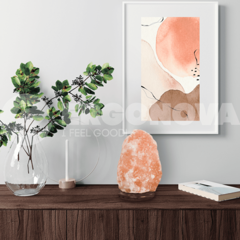 Соляная лампа Ergonova Himalay Crystal mini 3-5kg (Скала 3-5 кг)